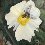 Flower Pollination9x9Oilonboard