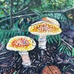 #10Capilano Regional Regional Park11x 14