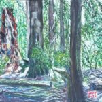 #7Princess Park 14x 11