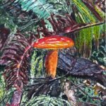 #9Capilano River Regional Park 11X 14